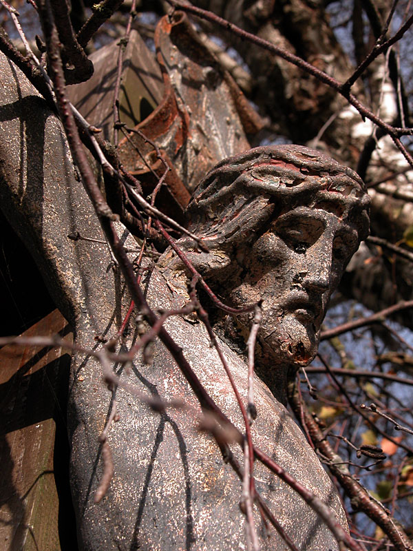 Grown together - branches and thorns - tree near Thanning/Aufhofen - 20km south of Munich  © Beate de Nijs